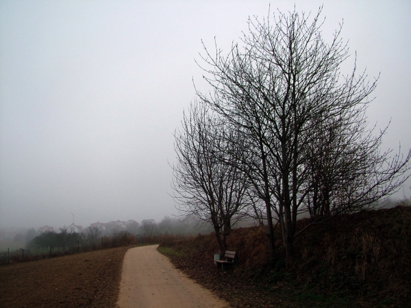 Autumn Fog in Schwabenhiem